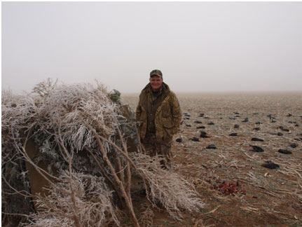 bob standing in a field of dead crows