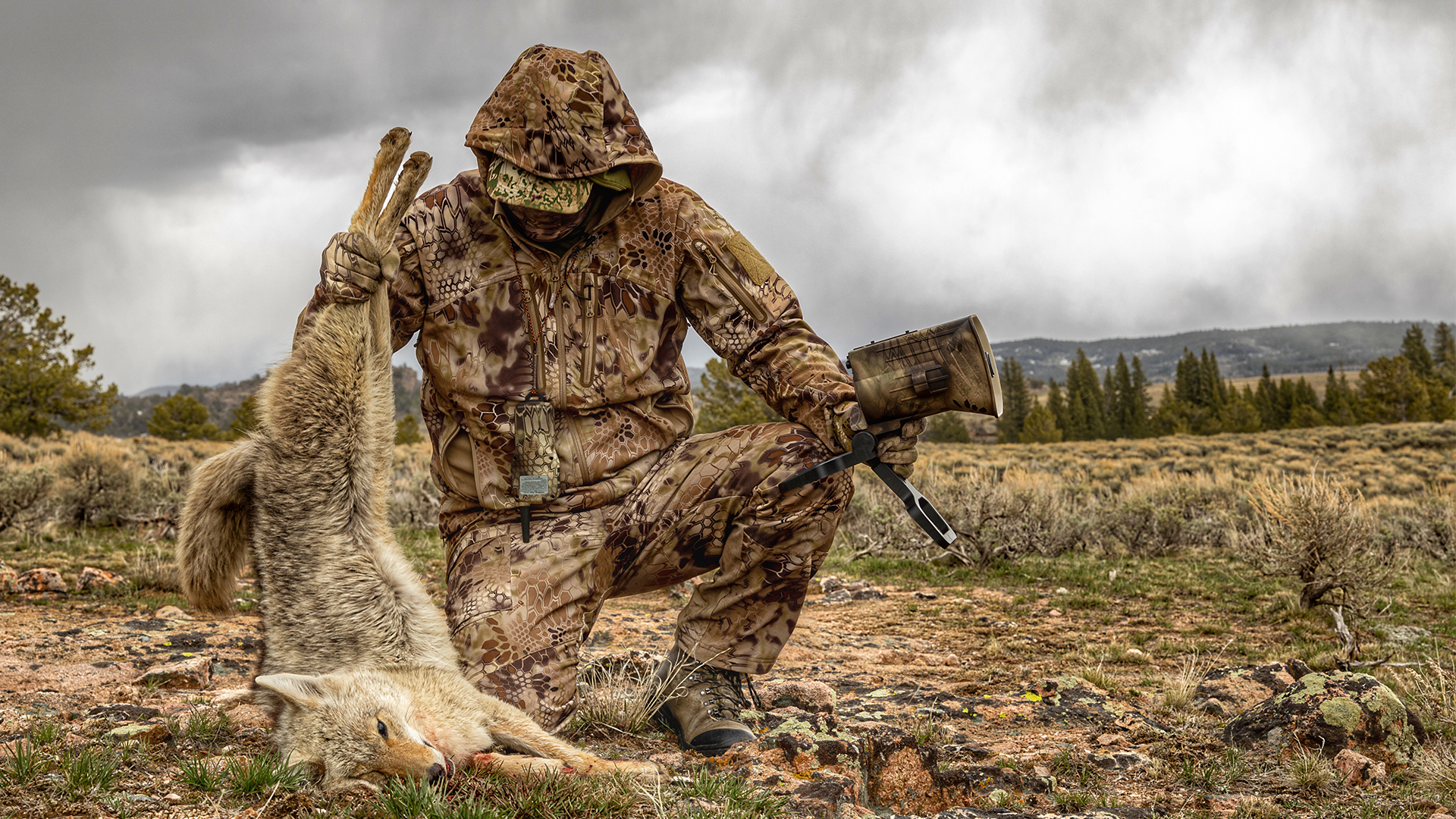 hunter in camo outfit in a field holding a dead coyote in one hand and a foxpro game call in the other