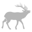 Elk Icon