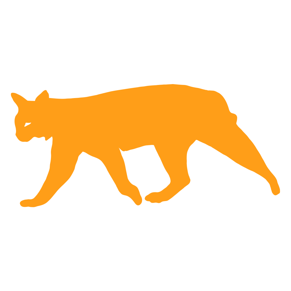 bobcat icon