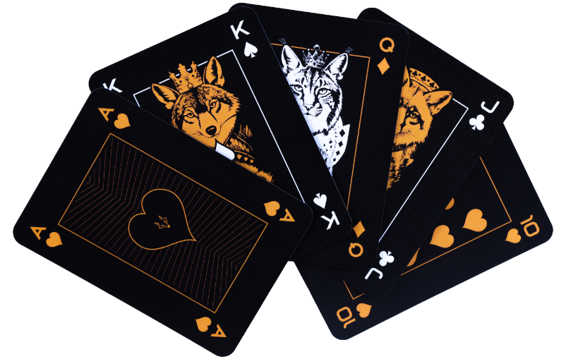 FOXPRO Playing Cards product image