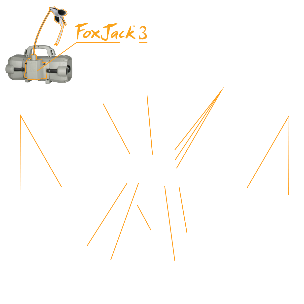 Base Image