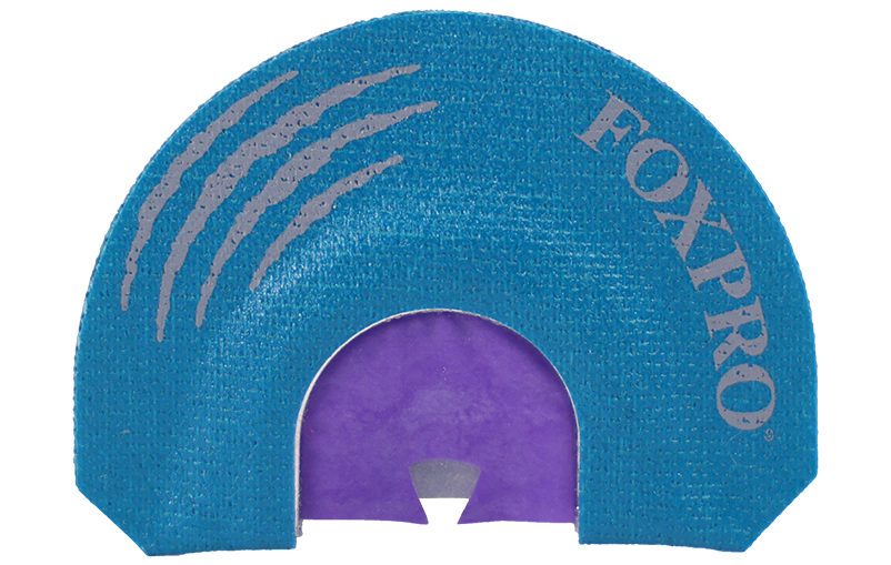 Cat product image