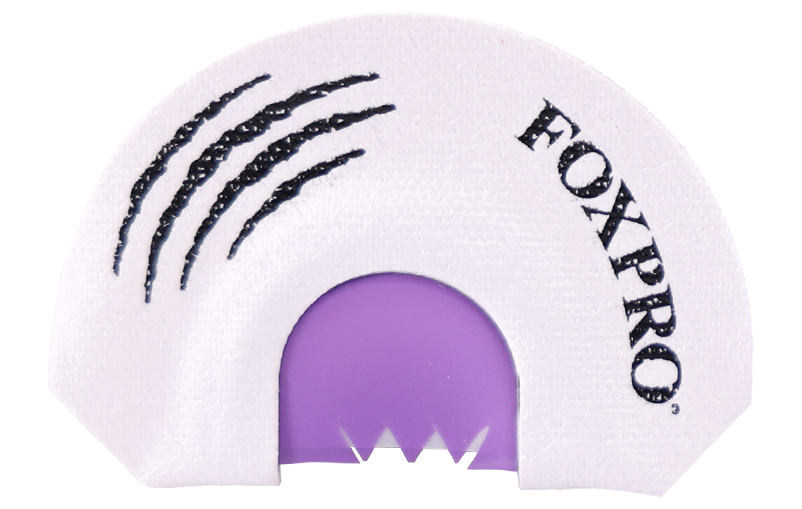 Cottontail product image