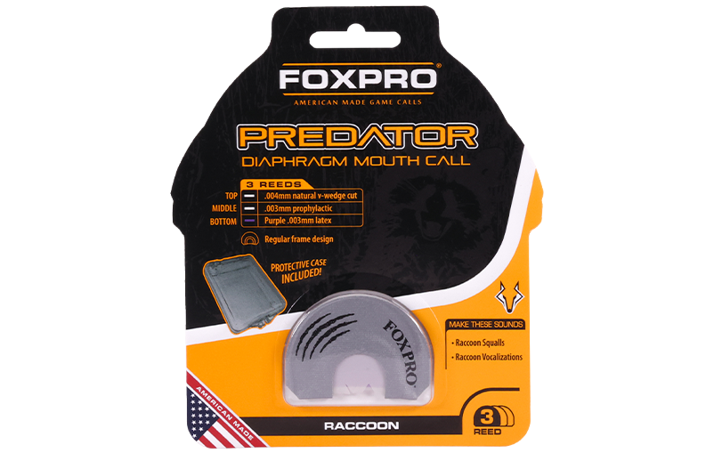Raccoon product image