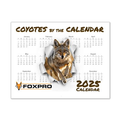 2025-coyotes-by-the-calendar 1